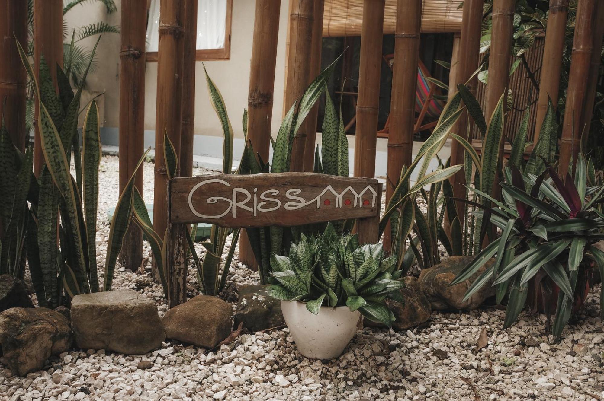 Griss Lodge & Spa Playa Santa Teresa  Kültér fotó