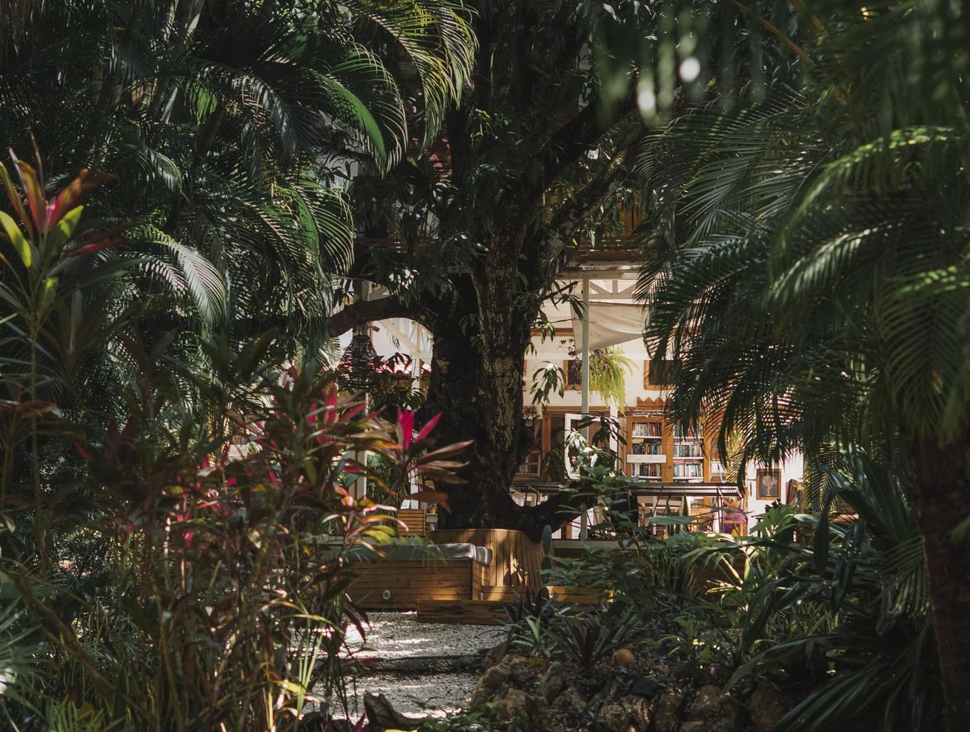 Griss Lodge & Spa Playa Santa Teresa  Kültér fotó