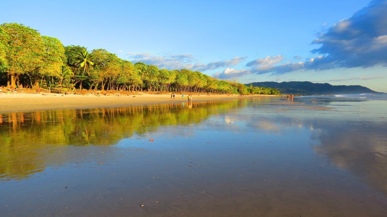 Griss Lodge & Spa Playa Santa Teresa  Kültér fotó